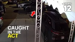 Catalytic converter thieves hit Brooklyn