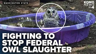 Billboard campaign to stop federal plan to kill 450,000 non-native barred owls