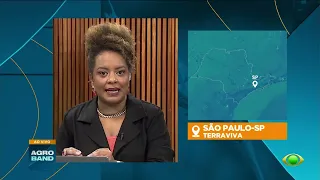 Brazil Roundup: Producer prices fall nearly 10%
