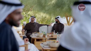 رئيس الدولة يستقبل ناصر بن حمد آل خليفة