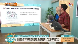 Myths and Truths About Dogs on Vamo Arriba