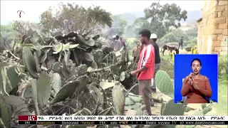 DW International ትግርኛ ዜና ሰዓት 12:30 ፣ 28 ነሓሰ 2018ዓ/ም