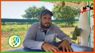 #PinarIn26🇨🇺| Yasel Hernández, tobacco producer. #MyMoncadaIsTheHomeland