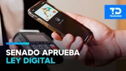 Goodbye to Cash? Senate Plenary Approves Digital Economy Law