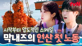 얼떨결에 나가게 된 멍게 조업😲 강유석 X 노윤서가 보고 놀란 거대한 정체 大공개🌟 #언니네산지직송3 EP.1 | tvN 260730 방송