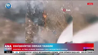Eskişehir’de orman yangını!