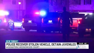 Multiple juveniles detained after stolen vehicle is recovered