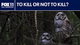 Kill or coexist? Debate grows over how to handle invasive species