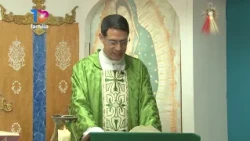 SANTA MISA LUNES 05 OCTUBRE 2026 PADRE DAVID MIGUEL BLANCO DISPONIBLE en https://tvfamilia.com/misa/