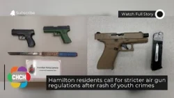 Hamilton residents call for stricter air gun regulations after rash of youth crimes