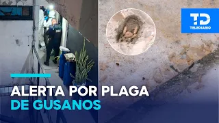 Discovery of body in apartment worries neighbors over pest infestation in building