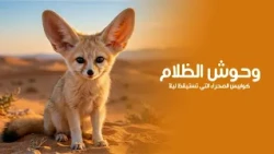 Monsters of the Dark: Desert Nightmares That Awaken at Night | Quest Arabiya