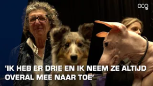 Martini Dog Show zit in de lift: “Iedereen is bij ons winnaar”
