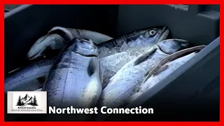 Northwest Connection - Ep. 26-060 - Archive - Protest Fishery - Host: Robert Pictou