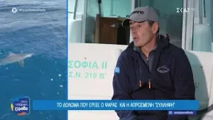 Καρχαρίας 2,5 μέτρων εμφανίστηκε ανοιχτά της Ερμιόνης | Όπου Υπάρχει Ελλάδα | 04/02/2026