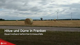 Heat and drought in Franconia: Farmers' association fears crop failures