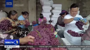 Опыт Китая способствует сокращению бедности во всем мире