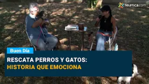 Rescata perros y gatos: historia que emociona