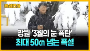 강원 산지 50㎝ 폭설…습설에 시설물 피해 우려 [세상만사] #날씨 #강원 #눈폭탄