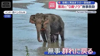 濁流に“0歳ゾウ” ボートに乗せ無事救助　母親と再会までの一部始終【スーパーJチャンネル】(2026年9月23日)