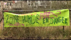 Trois friches bruxelloises sacralisées, mais la vigilance reste de mise chez leurs défenseurs