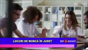 Locuri de muncă în județ