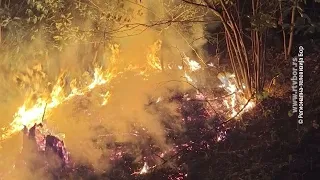 Zbog požara vanredna situacija u delu opštine Majdanpek, 7. septembar 2026.(RTV Bor)