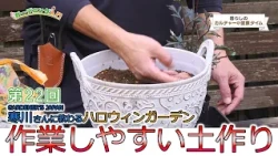 Lifestyle Culture Time: Introduction to Gardening, Part 22