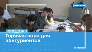 How is the admissions process going in Grodno?