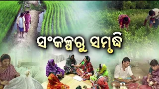 Krushi Darshan | ସଂକଳ୍ପରୁ ସମୃଦ୍ଧି | Success Story of Odisha Farmers & Self-Help Groups
