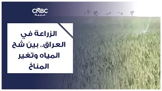 Agriculture in Iraq.. Between Water Scarcity and Climate Change
