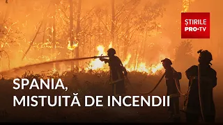 "Flames reached 30 meters high." Wildfires wreak havoc in Spain