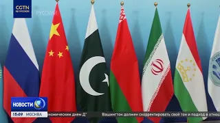Expert: China Has Invested Great Effort in the SCO and Is the Organization's Economic Engine