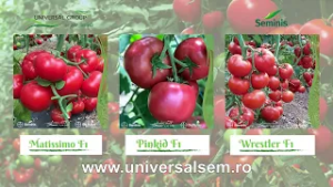 Agricultura la Raport Ovidiu Ghinea P1 05 03 2026