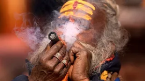 Népal : le cannabis au centre des célébrations de Shivaratri