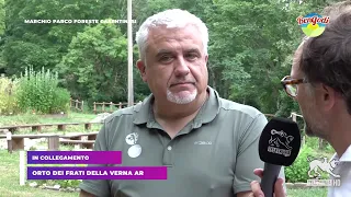 #Bengodi