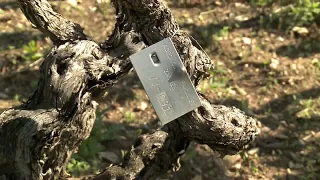 Kaštela: Ante Vuletin  21.08.2026.