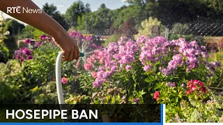 Hosepipe ban extension for 13 counties | RTÉ News