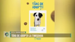 Pet Adoption Fair in Timișoara