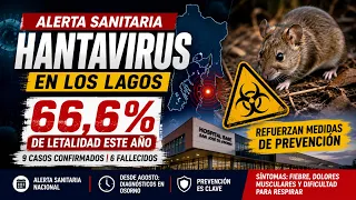 HANTAVIRUS IN LOS LAGOS: LETHALITY REACHES 66.6% AND PREVENTION MEASURES REINFORCED