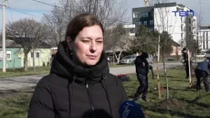 Zaposleni u JKP “Zelenilo” pripremaju Narodnu baštu za proleće - TV Pančevo