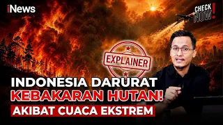 Di Balik Karhutla Indonesia! Benarkah El Nino Jadi Penyebab Utama? | Check Now!