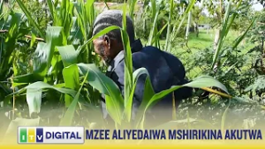 MZEE ANAYEDAIWA MSHIRIKINA AONEKANA KIMAAJABU NDANI YA UZIO TABOA, HAIJULIKANI KAINGIAJE