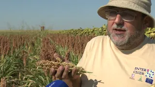 Zlatna Dolina 16.08.2026.