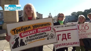 We demand an increase in the animal shelter budget