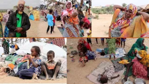 Xaalada Maatida Kasoo qaxday Xurgufta Dhexmartyay Wallaaha Wadadaga Salal Iyo Awdal.