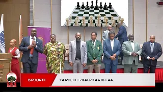Yaa'ii Cheezii Afrikaa 11ffaa.