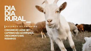 Goat meat consumption fails to keep pace with herd growth