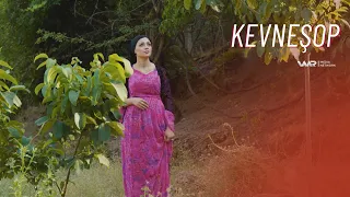 Kevneşop - Xeleka 14 | كەڤنەشۆپ - خەلەکا ١٤
