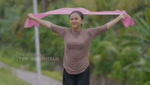 ANAK INDONESIA - SELENDANG BIDADARI